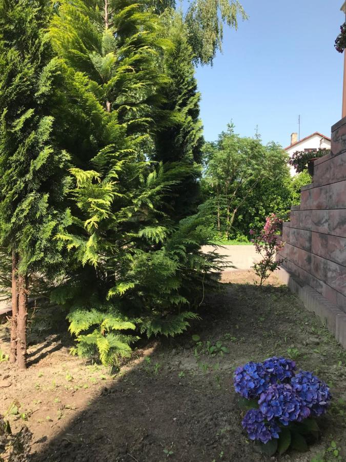 Noclegi Viva Mszczonów Eksteriør bilde